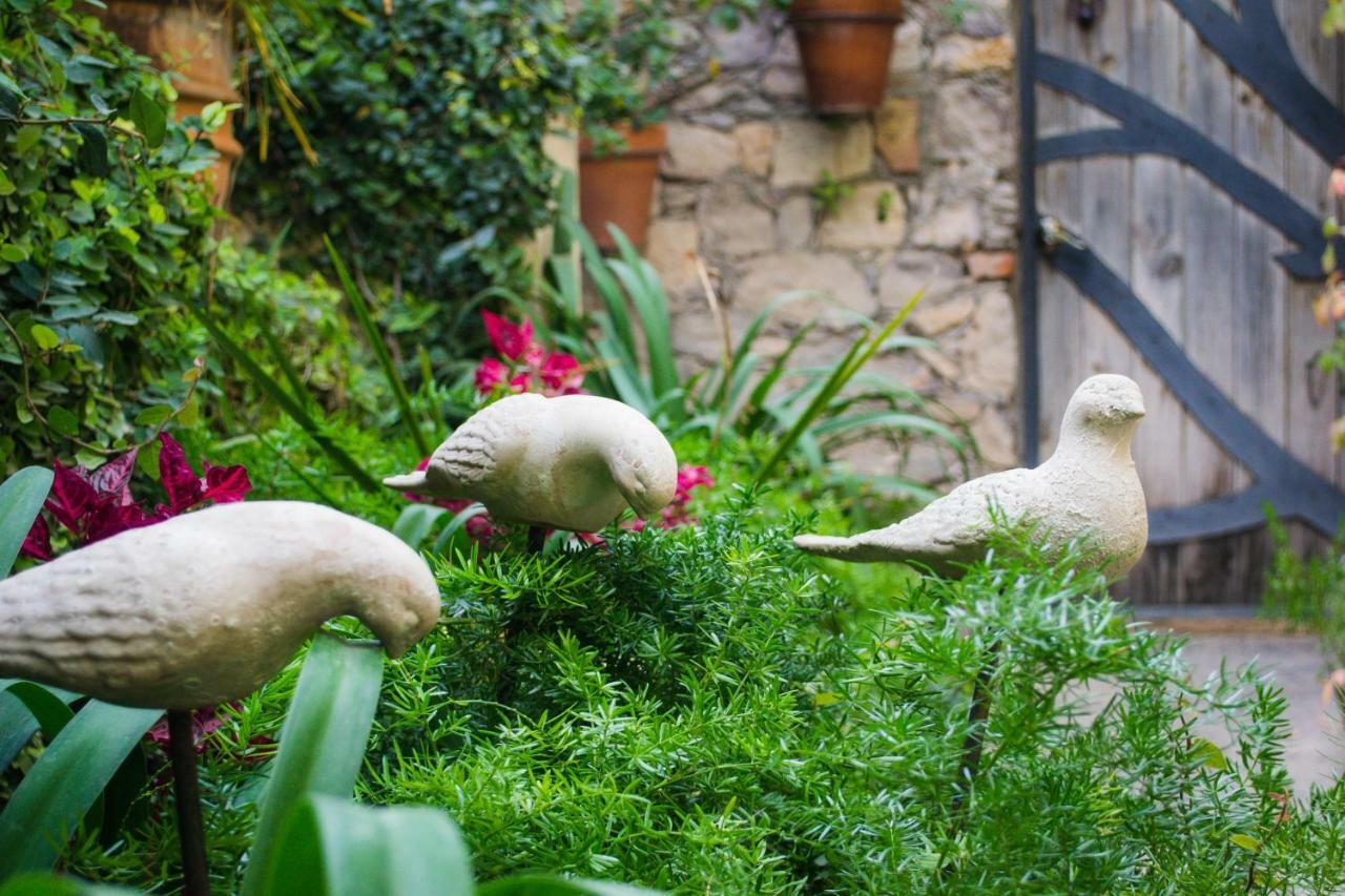 Hotel Las Terrazas San Miguel de Allende Zewnętrze zdjęcie